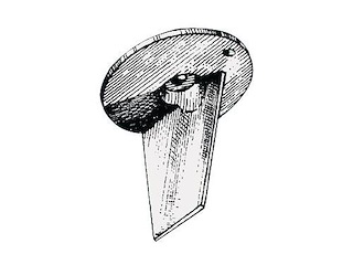 Pinna 60/70 HP 4 Tempi - OMC / JOHNSON / EVINRUDE -