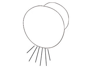 Luce di cortesia Led – Luce bianca verso il basso