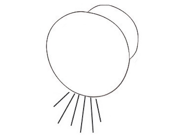 Luce di cortesia Led – Luce bianca verso il basso