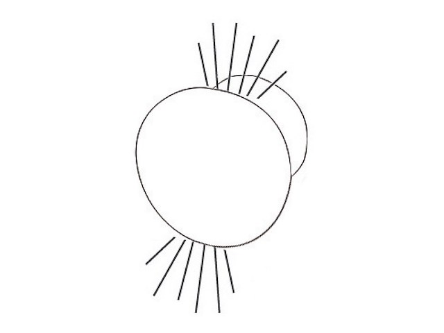 Luce di cortesia Led – Doppio fascio luce bianca