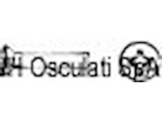 Viti sv.goc.cro. 3X16 AISI 304 MET/TGS3X16