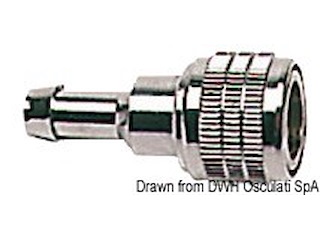 Attacco femmina Suzuki piccolo