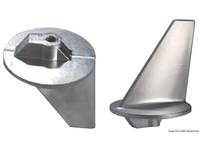 Anodo pinna Mercury poppieri