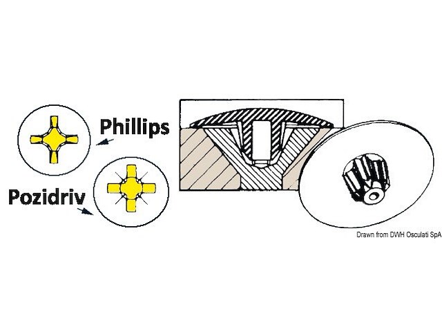 Coprivite per autofilettante 12 mm