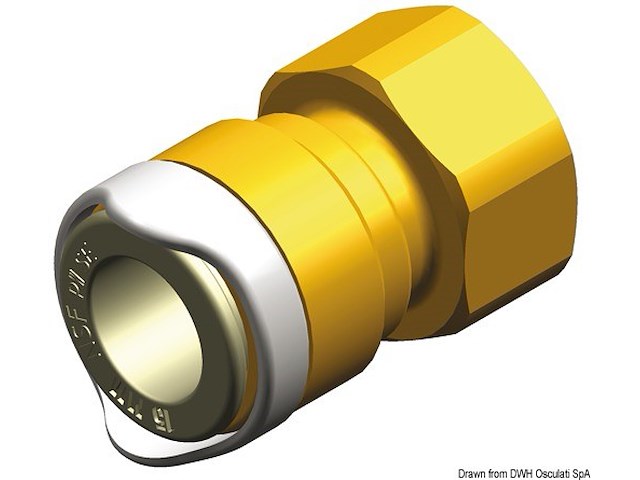 Adattatore 1/2" BSP ottone Whale