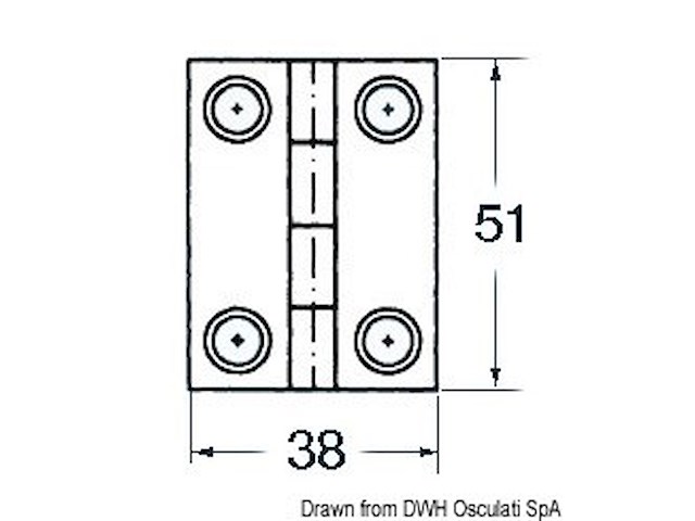 Cerniera inox cieca 51x38 rett