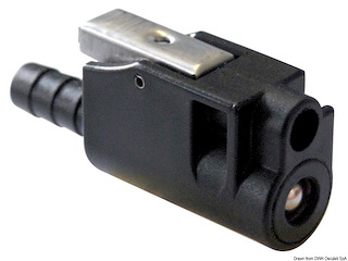 Innesto Mercury femmina