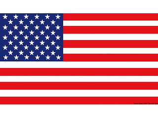 Bandiera USA 20 x 30 cm