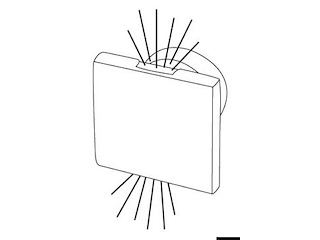 Luci di cortesia LED SQUARE luce blu doppio fascio