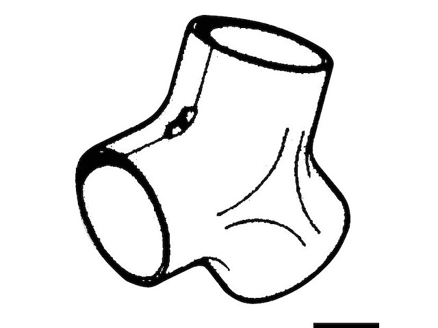 Raccordo a Y per canalizzazione aria