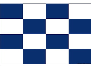 Bandiera lettera N 20 x 30 cm