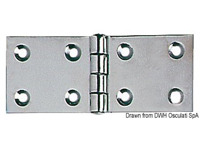 Cerniera inox mm 45x110