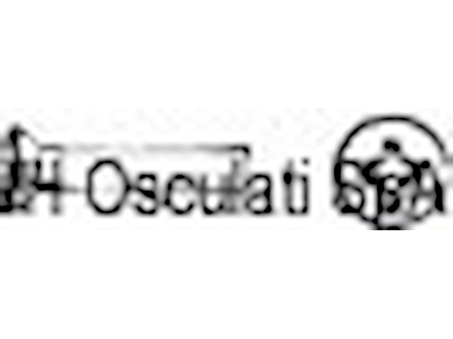 Viti sv.goc.cro. 8X40 AISI 304 MET/TGS8X40