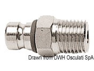 Attacco maschio Suzuki