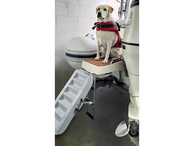 Scaletta per cani  Scaletta per cani