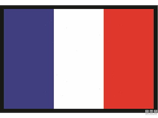 BANDIERA FRANCIA 40X60CM 