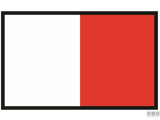 BANDIERA SEGNALE H HOTEL 40X60CM 