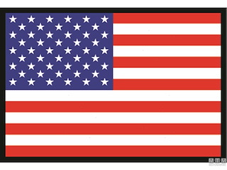 BANDIERA USA 40X60CM 