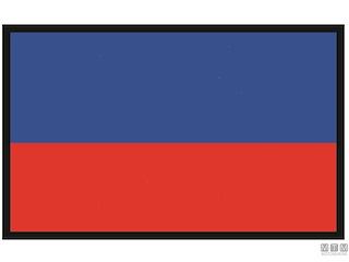 BANDIERA SEGNALE E ECHO 40X60CM 