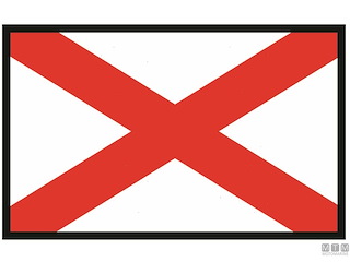 BANDIERA SEGNALE V VICTOR 40X60CM 