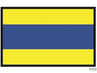 BANDIERA SEGNALE D DELTA 40X60CM 