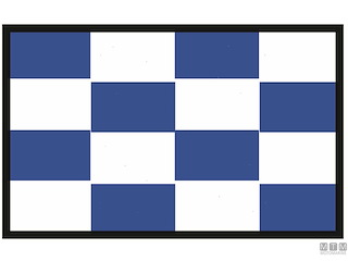 BANDIERA SEGNALE N NOVEMBRE 40X60CM 