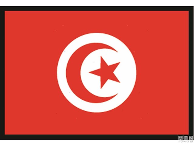 BANDIERA TUNISIA 40X60CM 