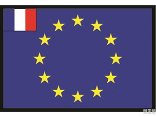 BANDIERA FRANCIA UE 30X45CM 