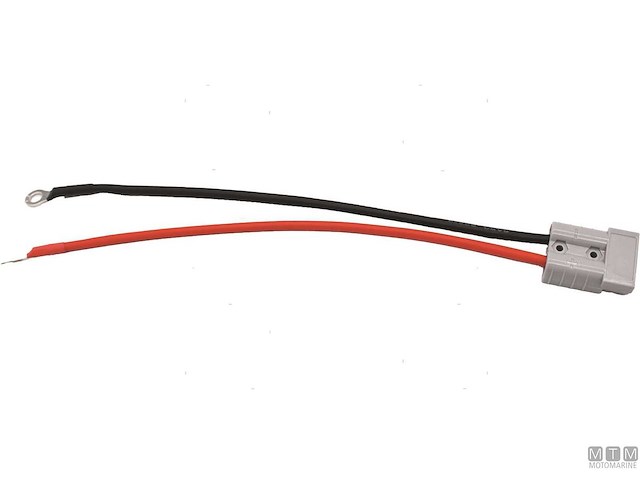 CAVO TERMINALI BATT ANDERSON 50A 30CM