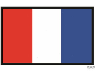 BANDIERA SEGNALE T TANGO 40X60CM 