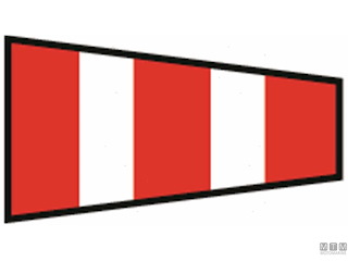 BANDIERA SEGNALE INTELLIGENCE 40X60CM 