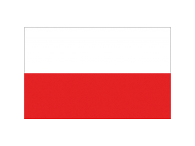 Bandiera Polonia 40x60 cm