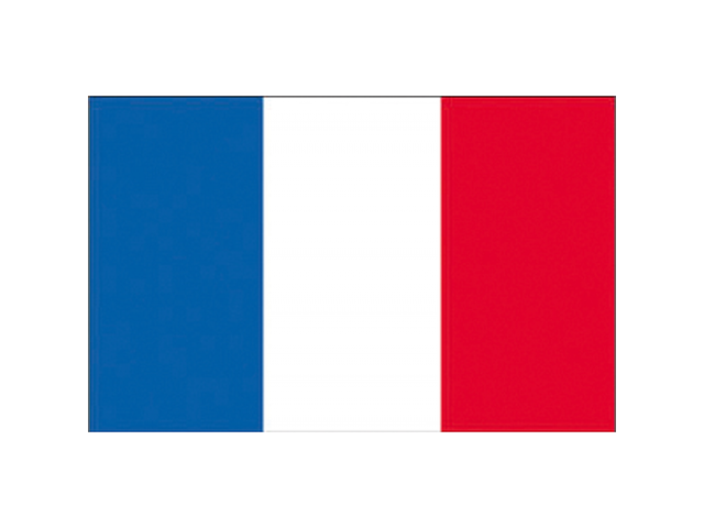 Bandiera Francia 50x75 cm
