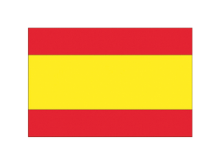 Bandiera Spagna 40x60 cm