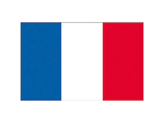 Bandiera Francia 30x45 cm