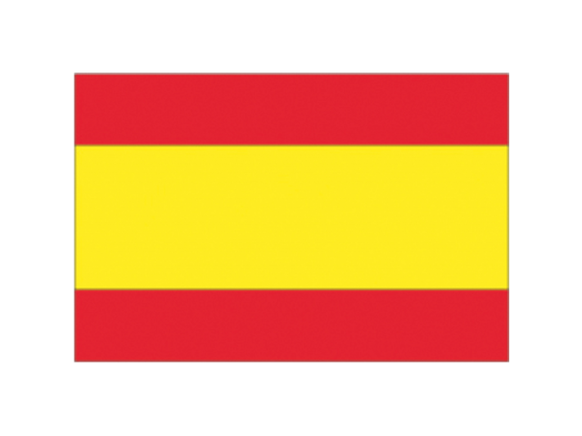 Bandiera Spagna 20 x 30 cm