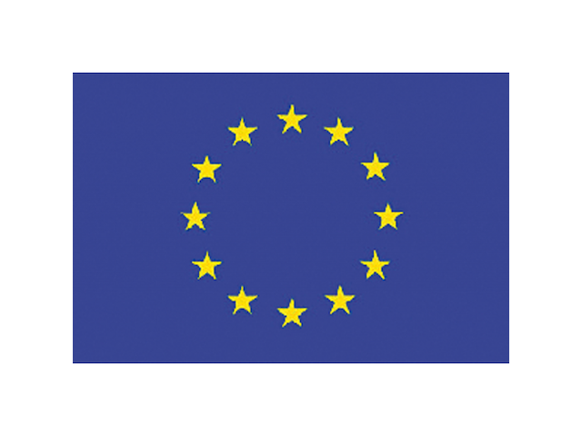 BANDIERA EUROPA CM.40X60