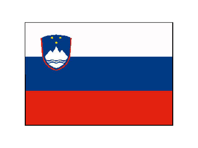 BANDIERA SLOVENIA CM.40X60