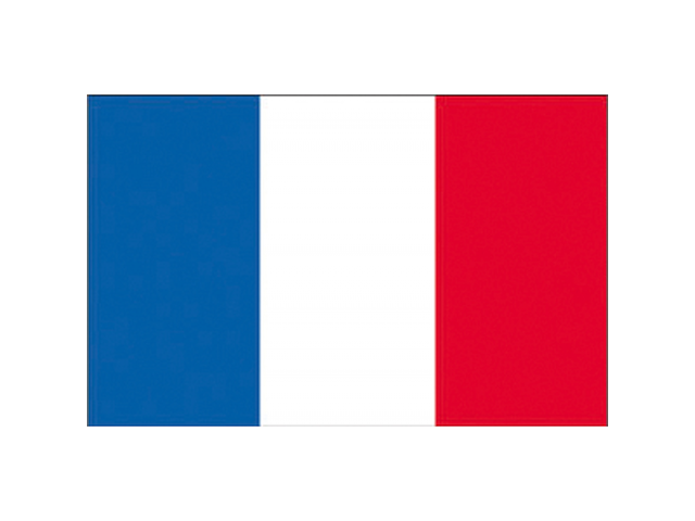 BANDIERA FRANCIA CM.80X120