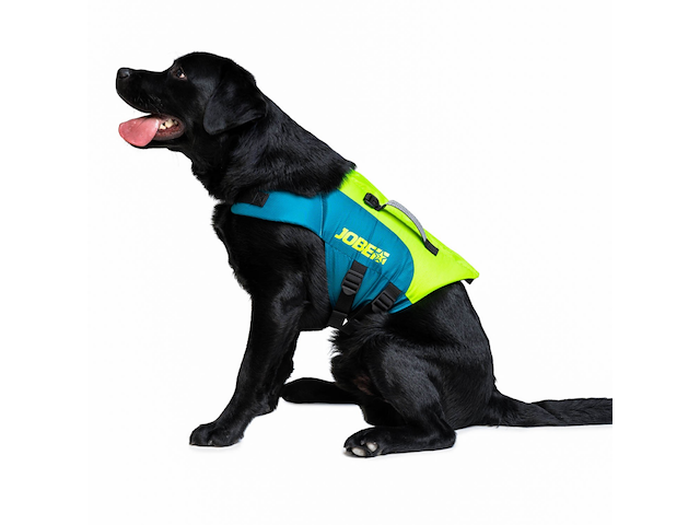 GIUBBOTTO PER ANIMALI TG. XL