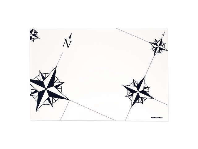 TOVAGLIETTE IN PLASTICA CM 45 X 30 - SET 6 PEZZI