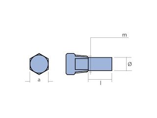 ANODO PER INVERTITORE ZF D.18 C/T Barrotti per invertitore ZF
