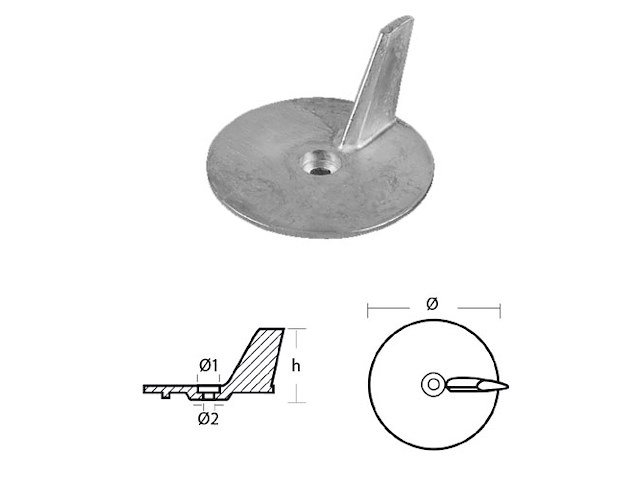 PINNA HONDA Pinna Honda Corta