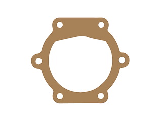 GUARNIZIONE Guarnizione Pompa